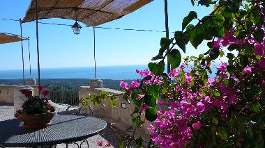under the gazebo, view