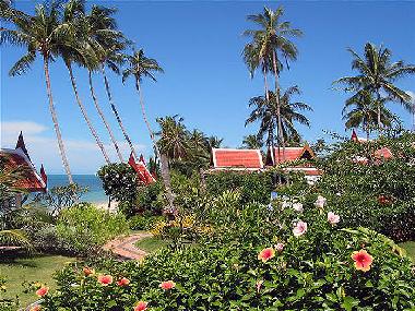 Nice view over the tropical blooming flower garden to the beach ans the sea...