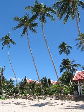 Perfect beach