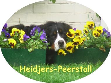 Holiday Apartment in Toppenstedt (Hamburg) or holiday homes and vacation rentals