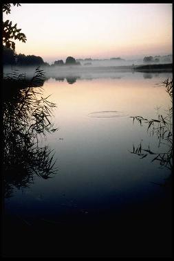 Holiday House in Crivitz (Mecklenburg-Schwerin) or holiday homes and vacation rentals