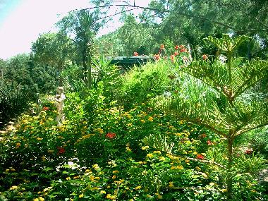 Holiday House in Scoglitti (Ragusa) or holiday homes and vacation rentals