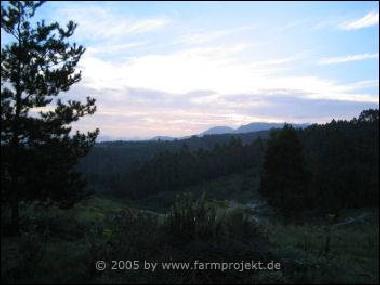 Holiday House in George District (Western Cape) or holiday homes and vacation rentals