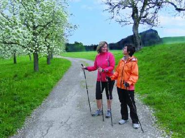 Holiday Apartment in Katzheim 2 (Lake of Constance) or holiday homes and vacation rentals