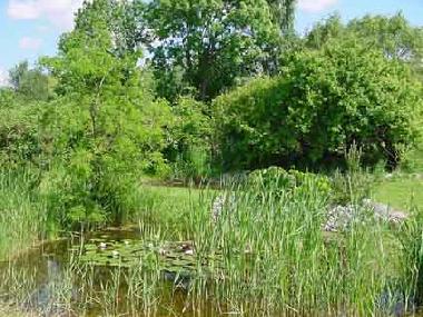 Enjoy the beautifull garden leading directly to the waterfront