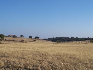 suny hills of the Alentejo 