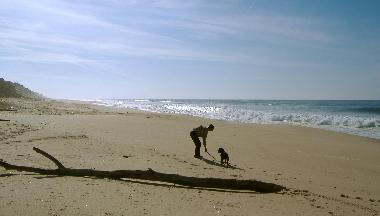 endless sand beaches about 25 km distance