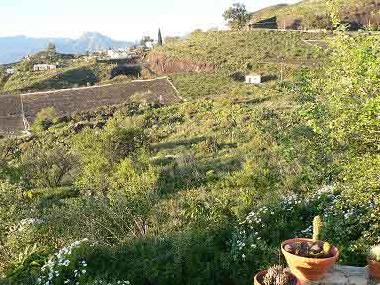 Holiday House in Las Manchas (La Palma und El Hierro) or holiday homes and vacation rentals