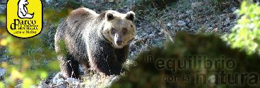 NATIONAL PARK 'EQUILIBRIUM WITH NATURE'