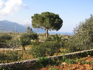 Chalet in Castellammare del Golfo (Trapani) or holiday homes and vacation rentals
