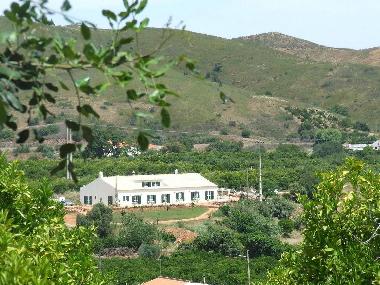 View from main road