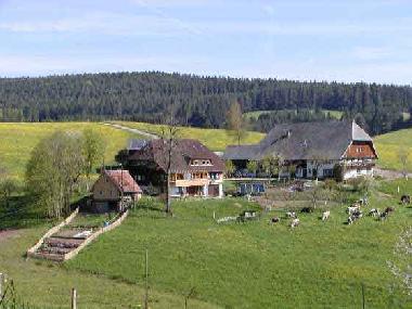 Holiday Apartment in Tennenbronn (Black Forest) or holiday homes and vacation rentals