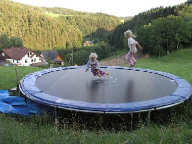 Holiday Apartment in Tennenbronn (Black Forest) or holiday homes and vacation rentals