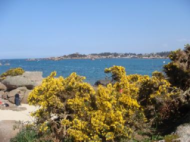 Holiday Apartment in Trevou-Treguignec (C�tes-d