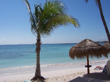 Holiday Apartment in Puerto Aventuras (Quintana Roo) or holiday homes and vacation rentals