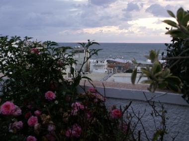 roof garden