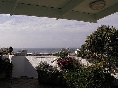 roof garden
