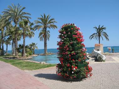 Seafront at Marina d