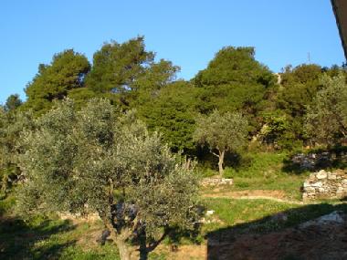 Holiday Apartment in Alikias (Magnisia) or holiday homes and vacation rentals