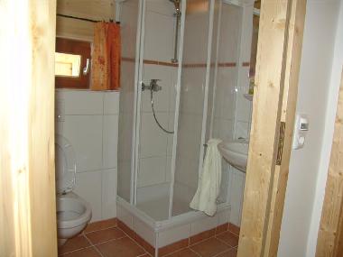 shower and toilet on the upperlevel