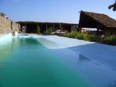 Pool, outdoor living area & Polynesian day bed