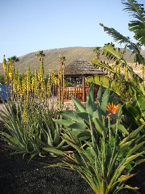 Sea breeze dining area