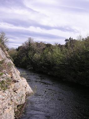 Holiday House in Travo (Haute-Corse) or holiday homes and vacation rentals