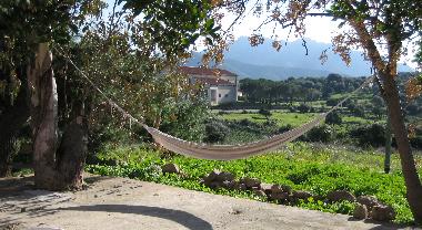 A View From the Terrace