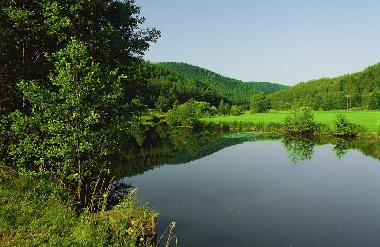 Holiday Apartment in Neunburg v.W. (Upper Palatinate) or holiday homes and vacation rentals