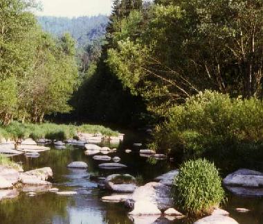 Holiday Apartment in Neunburg v.W. (Upper Palatinate) or holiday homes and vacation rentals