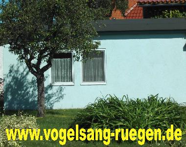 Holiday House in Sagard/ Rgen (Ostsee-Inseln) or holiday homes and vacation rentals