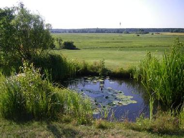 Holiday Apartment in Dobbin (Mecklenburgische Seenplatte) or holiday homes and vacation rentals