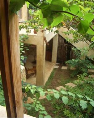 Shady courtyard garden