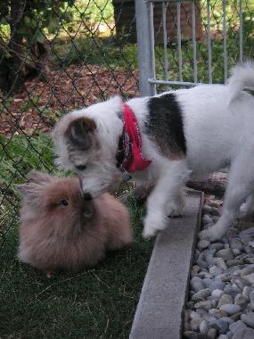 Holiday Apartment in Gunzenhausen (Central Franconia) or holiday homes and vacation rentals