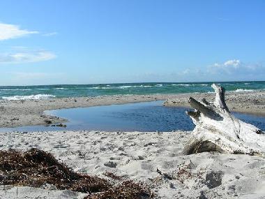 Holiday Apartment in Born am Darss (Fischland-Dar-Zingst) or holiday homes and vacation rentals