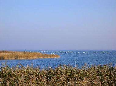 Holiday Apartment in Born am Darss (Fischland-Dar-Zingst) or holiday homes and vacation rentals