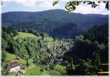 Holiday Apartment in Schnmnzach (Black Forest) or holiday homes and vacation rentals