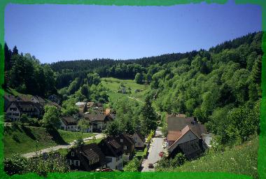 Holiday Apartment in Schnmnzach (Black Forest) or holiday homes and vacation rentals