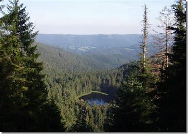 Holiday Apartment in Schnmnzach (Black Forest) or holiday homes and vacation rentals