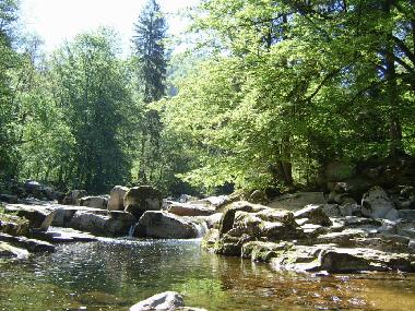 Holiday Apartment in Schnmnzach (Black Forest) or holiday homes and vacation rentals