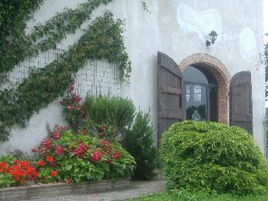 Holiday House in Orentano (Pisa) or holiday homes and vacation rentals