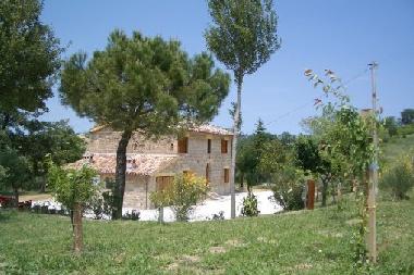 Holiday House in Montecarotto (Ancona) or holiday homes and vacation rentals
