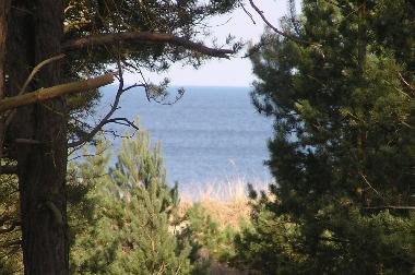 Holiday House in Karlshagen (Ostsee-Inseln) or holiday homes and vacation rentals