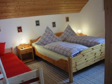 Holiday Apartment in Arnbruck (Lower Bavaria) or holiday homes and vacation rentals