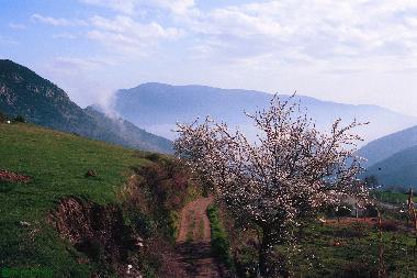 Holiday House in Pitres (Granada) or holiday homes and vacation rentals