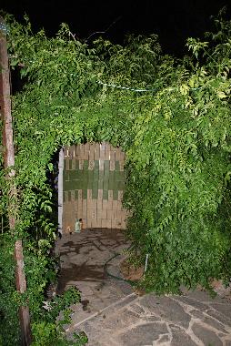 The shower outside on the back terrace
