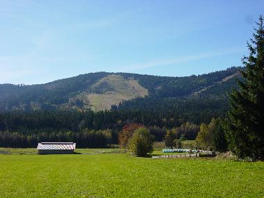 Bed and Breakfast in Bischofsmais/Habischried (Lower Bavaria) or holiday homes and vacation rentals