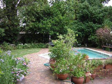 Garden and pool