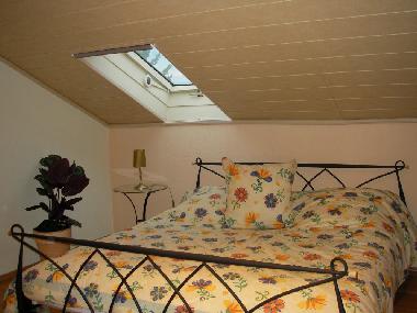 Holiday Apartment in Litzendorf - Tiefenellern (Upper Franconia) or holiday homes and vacation rentals