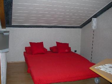 Holiday Apartment in Litzendorf - Tiefenellern (Upper Franconia) or holiday homes and vacation rentals
